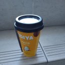 은파코아루 이미지