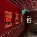 강남-184 이미지