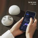 딥슬립 솔루션 | 2배 빠른 숙면을 선사하는 딥슬립 블루투스 이어폰 브리즈 SLDHF 솔직 후기