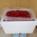 유황농장 이미지