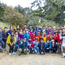 안양시 힐링트레킹 뜰안애 서천 동백꽃 쭈꾸미 축제 제 27회 이미지