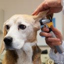 보성동물병원 이미지