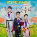 용인대 현대 태권도 이미지