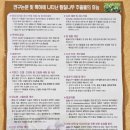 황칠 드림