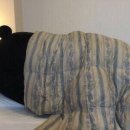 힐링여행 이미지