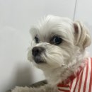 여주-0719 이미지