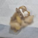 상일 쓰담쓰담 동물병원 이미지