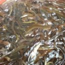 행복추어탕 이미지