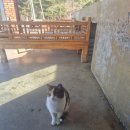 청성로L | 충남 보령 카페 추천 :: 갱스커피
