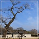 천자총통 | 천자총통 불랑기 신기전 서산 해미읍성 진남문