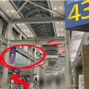 미주약국 | 비행후기&gt;에어프레미아 뉴어크_가족여행 입국심사_이코노미스탠다드 yp131_뉴욕효도여행준비물