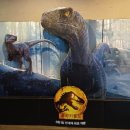 Jurassic World: Dominion 이미지