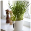 허브와야채 이미지