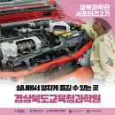테크노전자타운 | 비 오는 날, 무료로 알차게 즐길 수 있는 곳 - 경상북도교육청과학원 전시 관람 후기!