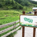 삼광목장 이미지