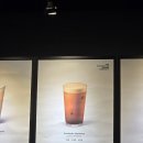 태평1동 | 스타벅스 '에어로카노' 솔직 후기 (ft. 고구마 카스텔라 생크림 케이크, 아이스 얼그레이 바닐라 티 라떼)