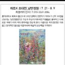 시나브로아트갤러리 | 인사동 전시회 하트K 초대전 이벤트 후기🥰관람 와주신 이웃님들