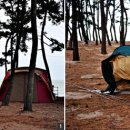 부안 고사포 야영장 - 겨울 파도를 감싼 은빛 모래 이미지