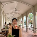 더선월드 | 푸꾸옥 필수코스 혼똔섬 케이블카 워터파크 예약 방법 선월드 후기