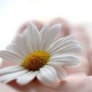 고요함 이미지