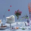 노바앤대진