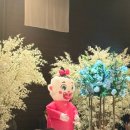 사랑으로 꽉꽉 채운 5월
