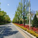 평택-평택-5 이미지