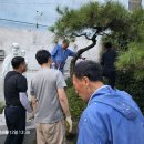 성모동산 정화 작업, 공동체의 손길로 새롭게 단장 이미지