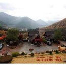 평창OK공인중개사사무소 이미지