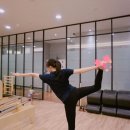 테라피트 이미지