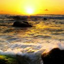 배따라기 이미지