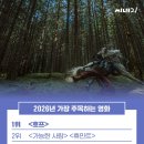 씨네21 카카오 검색결과