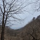천마산농수산물 이미지