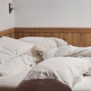 씨엘로 펜션 2 이미지