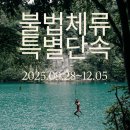 미&성 행정사 사무소 | 법무부 2025년 2차 불법체류 외국인 정부합동단속 실시 – 보호일시해제청구,사범처리,결혼비자