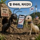 실시간 코스피 상승률 311/sec 이미지