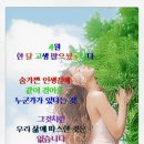 꽃향기풀내음 이미지