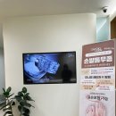 자연주의의원 이미지