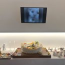 중마로 | [경남]사천,하동,남해 근교 강아지장례식장 35분거리│사진, 위치,비용, 후기 답변 (2026)