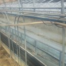 장수삼일농장 이미지