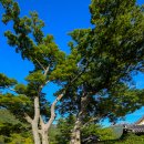 (두륜산 대흥사기행 제6부) 유네스코지정 ‘한국의 산지승원&#39; 해남 두륜산 대흥사 제1부