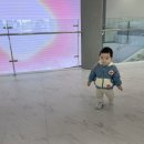전남에너지팜하나 이미지