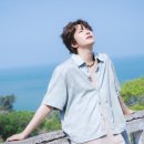 송컴퍼니 스타뉴스