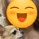 김천연합동물병원 이미지