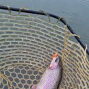 무지개낚시터 이미지