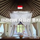 트위 - 천안시 서북구 공원로 196 | [발리 사파리 숙소] 🦒마라리버사파리 롯지 트위가룸 204호_상세사진_후기