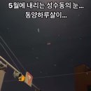 눈 내리는 5월의 성수 이미지