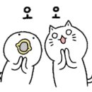 워시블랑(wash blanc) 이미지