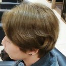 제니헤어 이미지