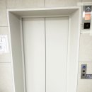 화원연세병원 | 대구 인테리어필름 _ 병원 승강기 화사하게 리폼